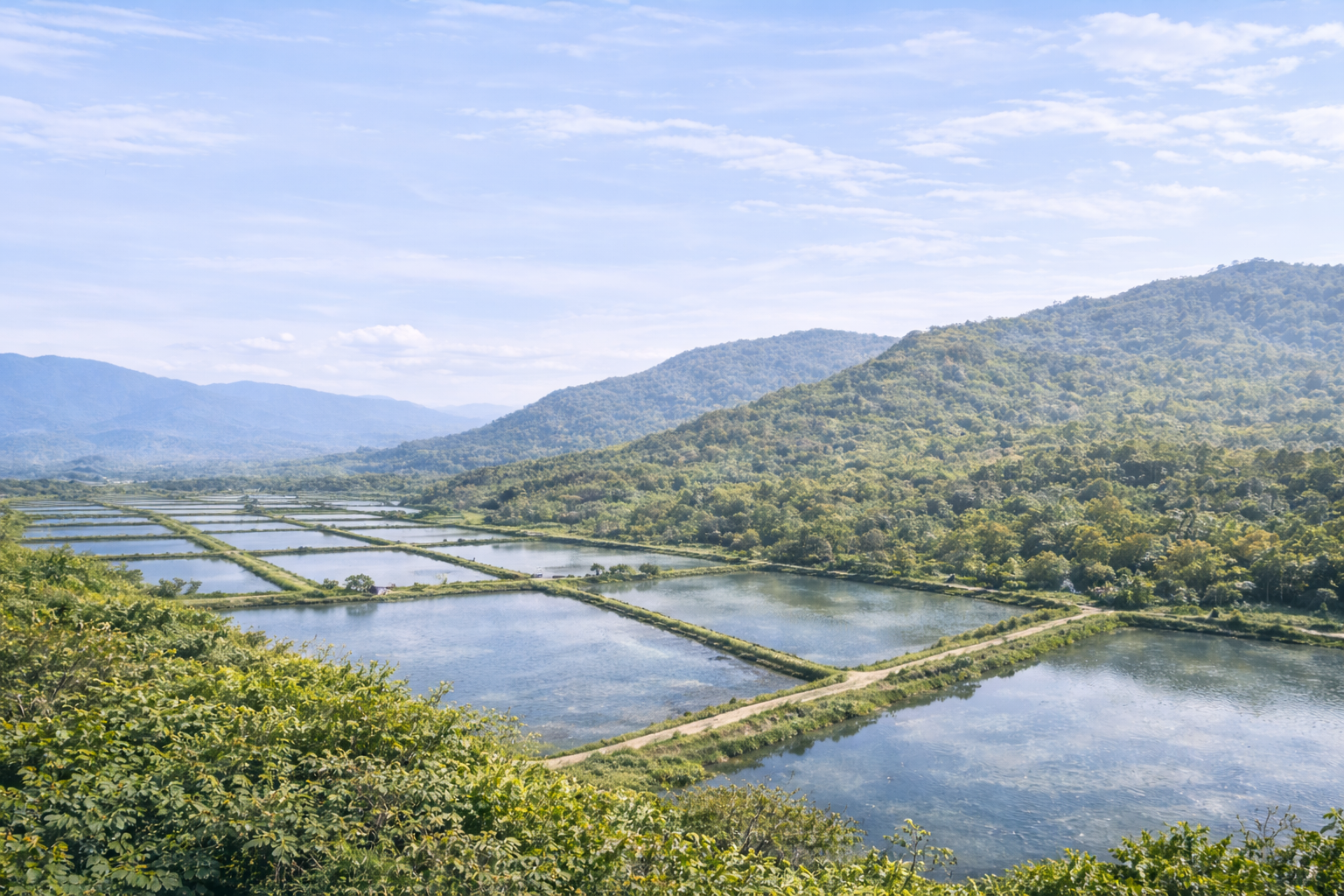 智慧鱼塘养殖无人值守解决方案